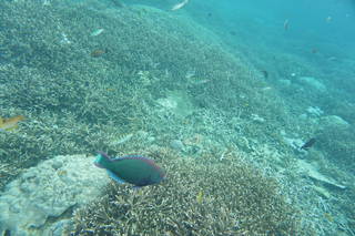 DSC00757.JPG